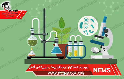 بورسیه